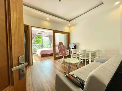 Apartment for rent, 1 bedroom, Ngũ Hành Sơn, Đà Nẵng